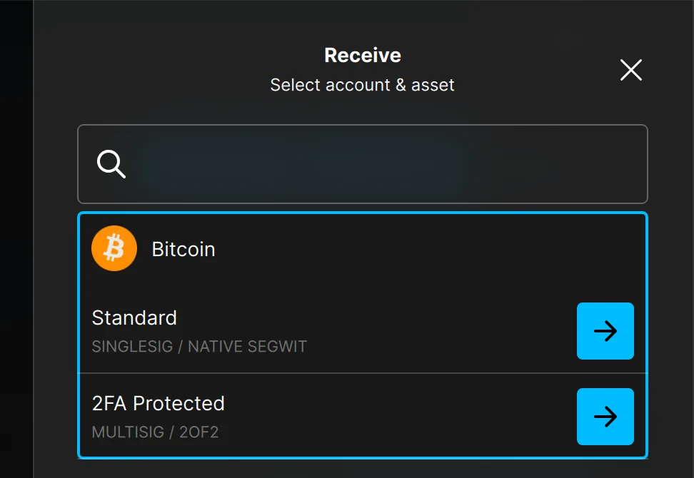 Receive panel listing the Bitcoin accounts Standard (singlesig, native SegWit) and 2FA Protected (multisig 2-of-2)
